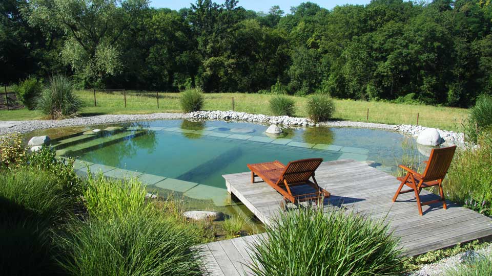 bassin de baignade naturel avec filtration par les plantes 